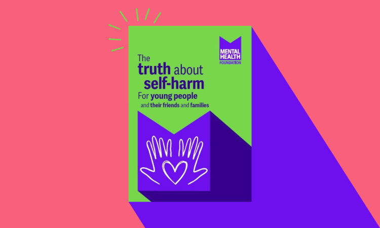 stress20publication20-20web20images2028229 Cover of the publication 'The truth about-self harm'